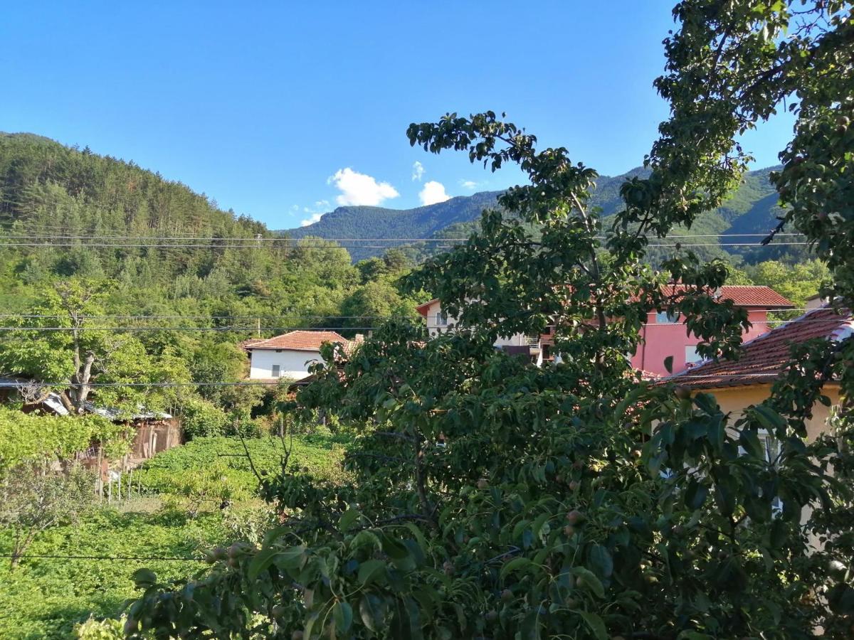 Dariya Guest House Sapareva Banya Dış mekan fotoğraf
