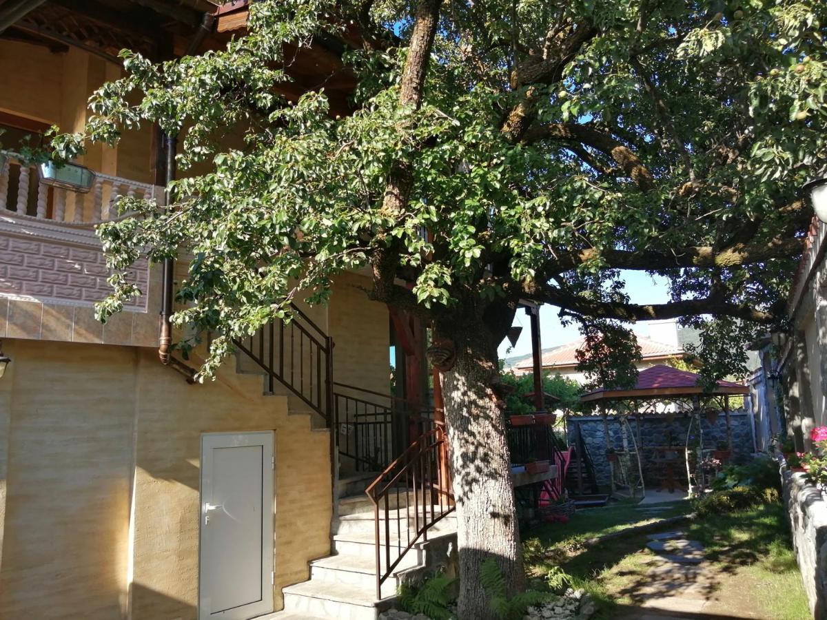 Dariya Guest House Sapareva Banya Dış mekan fotoğraf