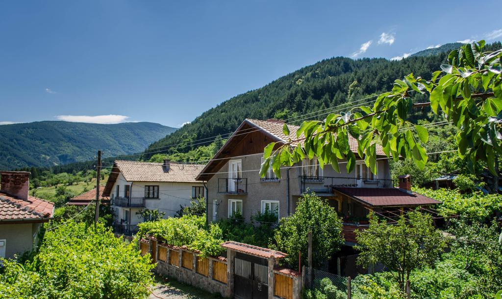 Dariya Guest House Sapareva Banya Dış mekan fotoğraf