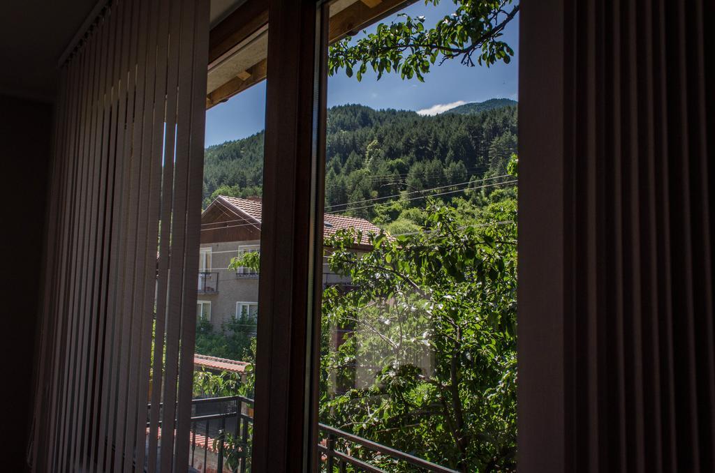 Dariya Guest House Sapareva Banya Oda fotoğraf